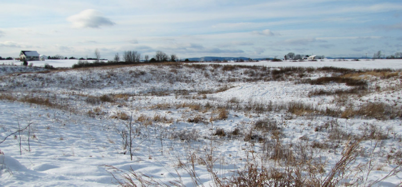 Washinton County Grasslands in Winter