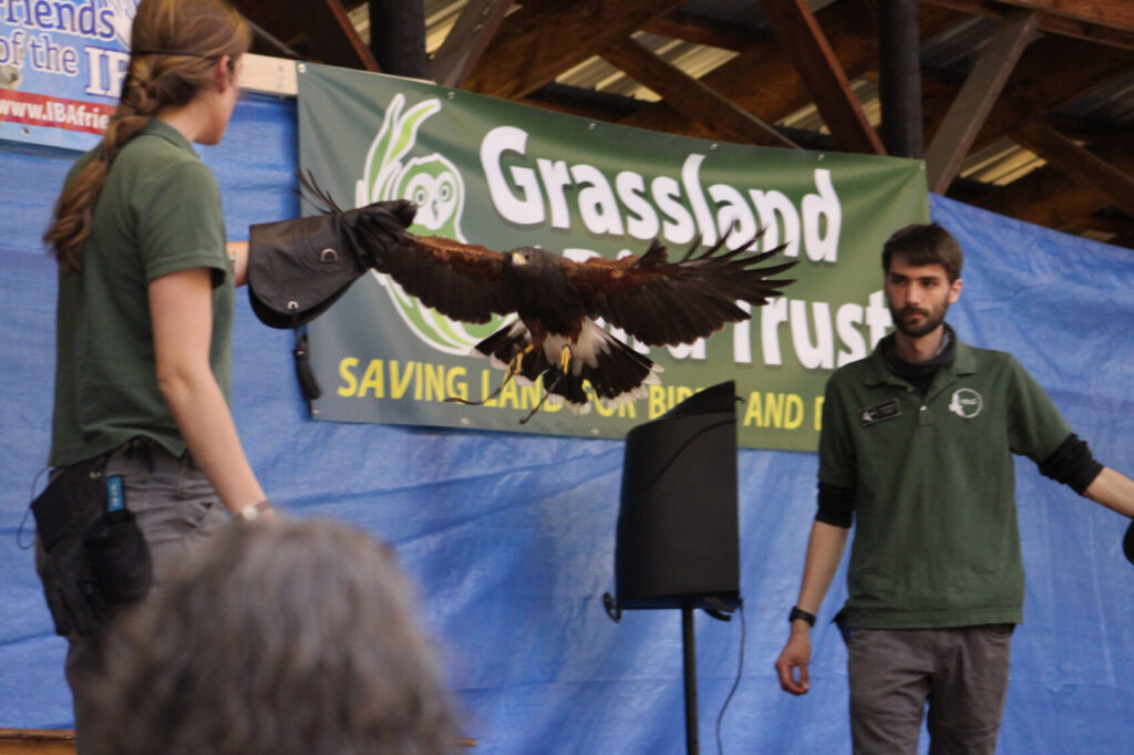 Winter Raptor Fest Grassland Bird Trust