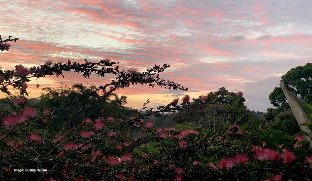 Sunset at Santa Juana Lodge, Costa Rica